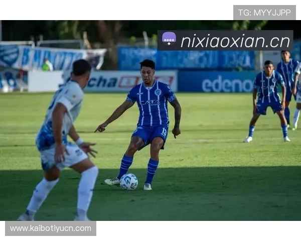 开云体育官方账号为用户带来最权威的体育赛事分析与精彩内容