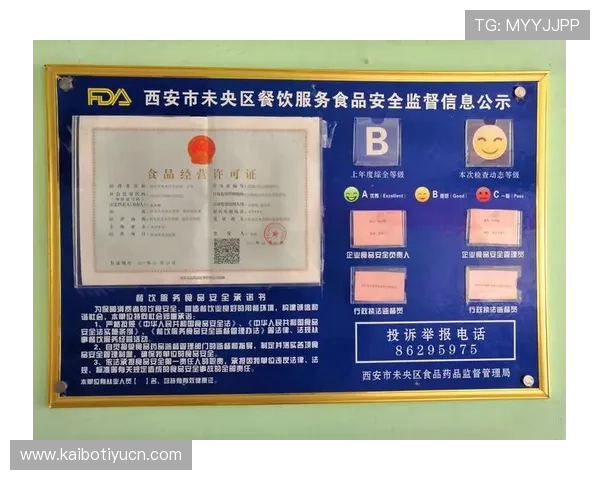 B体育注册平台注册流程中的注意事项及安全保障措施