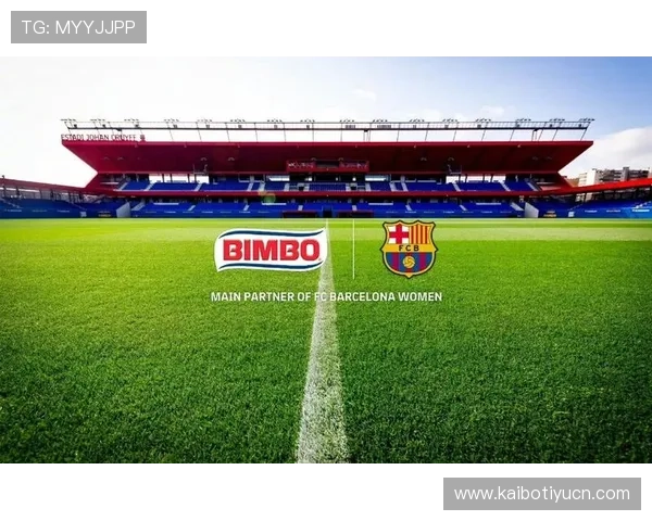 星空体育国际开户流程详解助你轻松开启全球体育博彩新体验